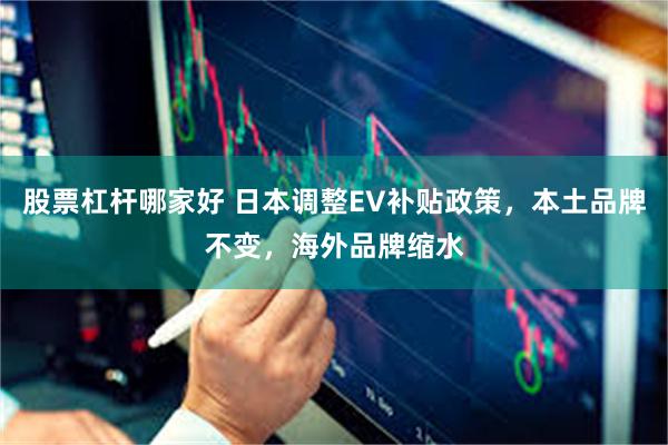 股票杠杆哪家好 日本调整EV补贴政策，本土品牌不变，海外品牌缩水