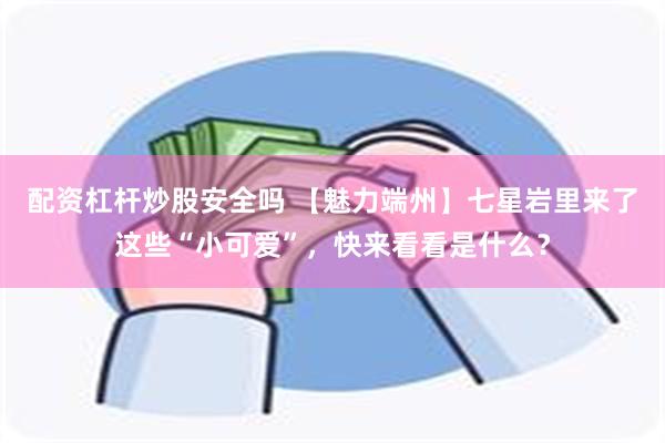 配资杠杆炒股安全吗 【魅力端州】七星岩里来了这些“小可爱”，快来看看是什么？