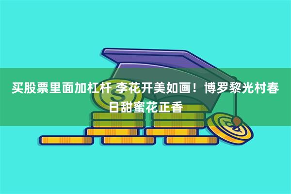 买股票里面加杠杆 李花开美如画！博罗黎光村春日甜蜜花正香