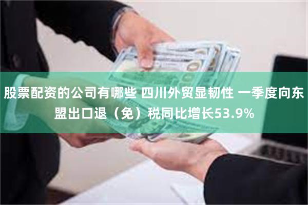 股票配资的公司有哪些 四川外贸显韧性 一季度向东盟出口退（免）税同比增长53.9%