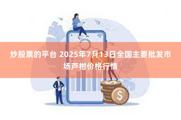 炒股票的平台 2025年7月13日全国主要批发市场芦柑价格行情
