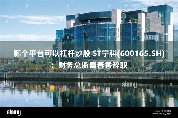 哪个平台可以杠杆炒股 ST宁科(600165.SH)：财务总监董春香辞职