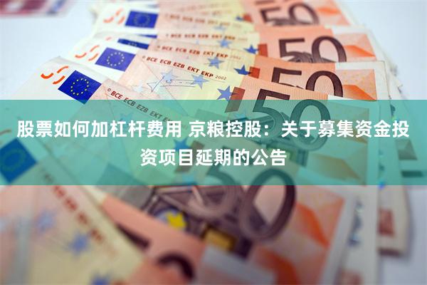 股票如何加杠杆费用 京粮控股：关于募集资金投资项目延期的公告